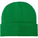 Czapka typu beanie Boreas z naszywką zielona paproć (38676690)