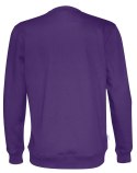 CREW NECK MEN - M (PURPLE)