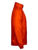 WINTON UNISEX - L (ORANGE)