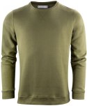 ALDER HEIGHTS - 3XL (MOSS GREEN _ OLD)