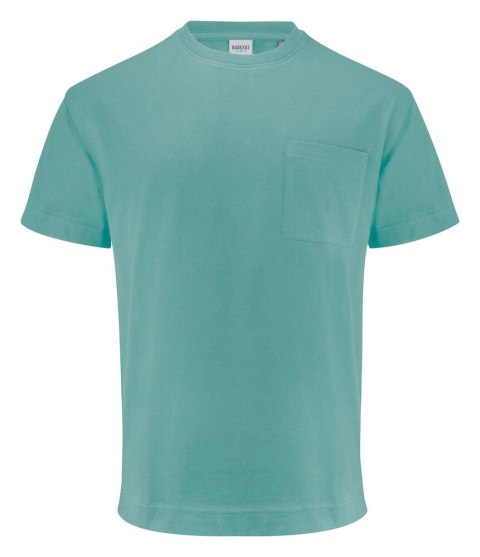 DEVONS T-SHIRT - 4XL (ALOE GREEN)