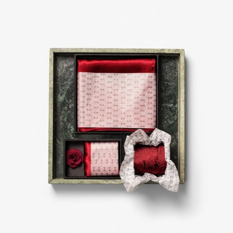 SOLID HANKIE & LAPEL PIN - ONE SIZE (WINE) SOLID HANKIE & LAPEL PIN - ONE SIZE (WINE)