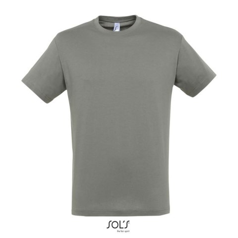 REGENT UNI T-SHIRT 150g Zinc L (S11380-ZI-L)